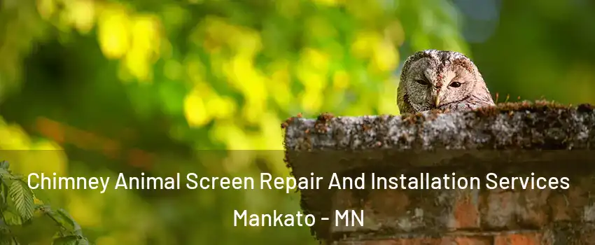  Chimney Animal Screen Repair And Installation Services Mankato - MN