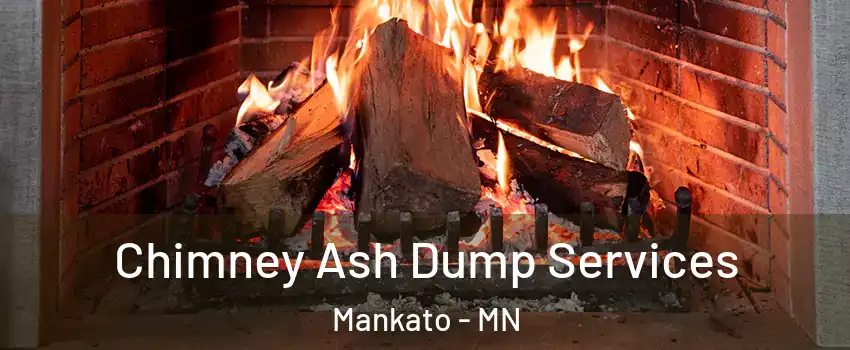  Chimney Ash Dump Services Mankato - MN