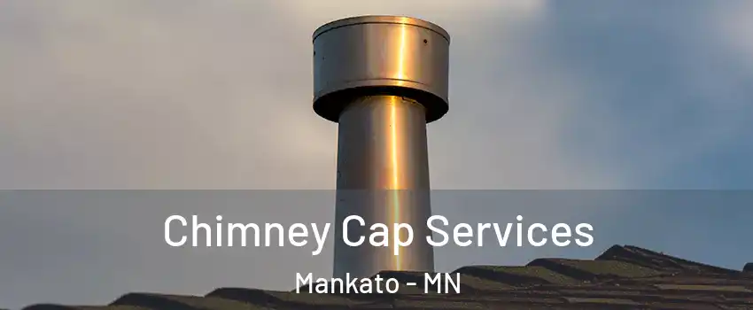  Chimney Cap Services Mankato - MN