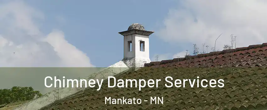  Chimney Damper Services Mankato - MN