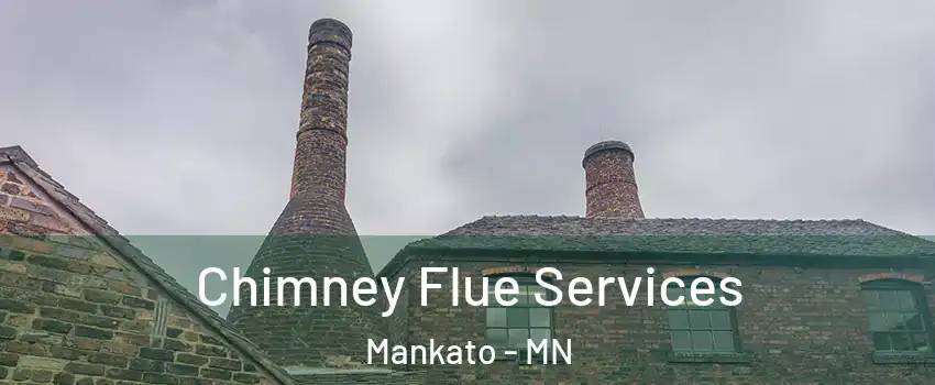  Chimney Flue Services Mankato - MN