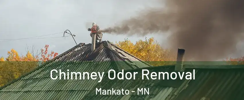  Chimney Odor Removal Mankato - MN
