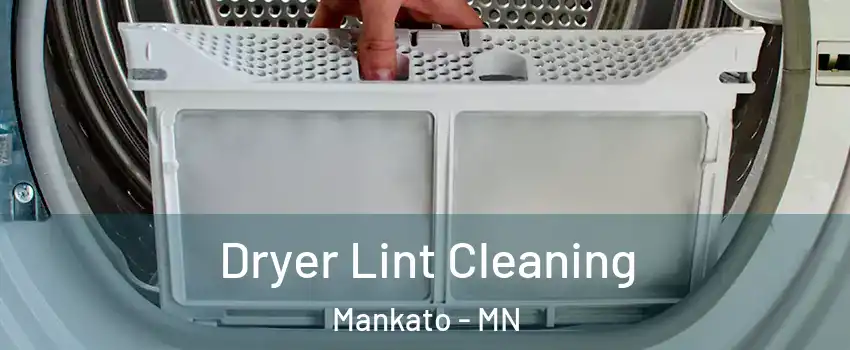  Dryer Lint Cleaning Mankato - MN