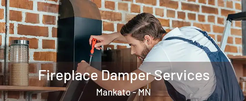  Fireplace Damper Services Mankato - MN