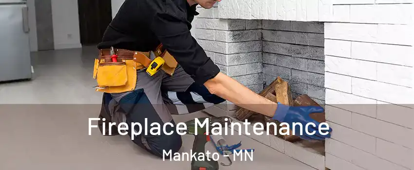  Fireplace Maintenance Mankato - MN