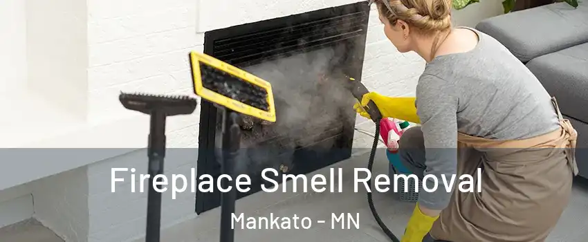  Fireplace Smell Removal Mankato - MN