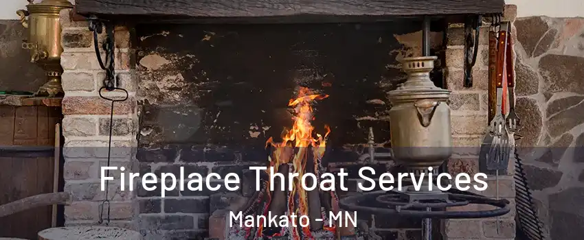  Fireplace Throat Services Mankato - MN