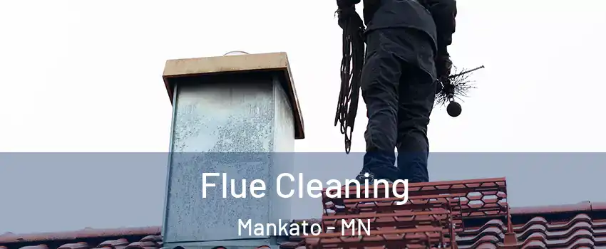  Flue Cleaning Mankato - MN