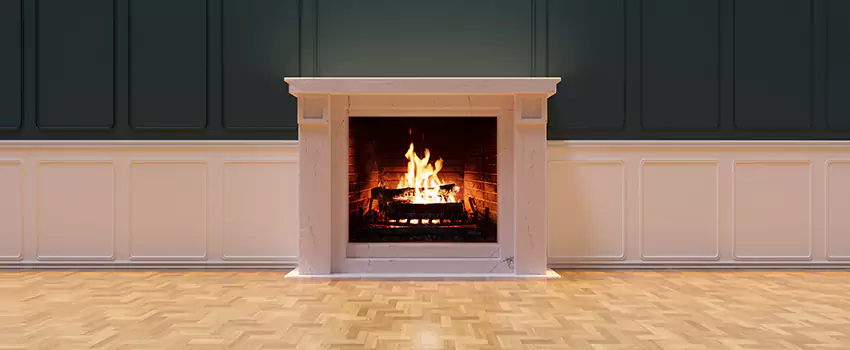 Napoleon Electric Fireplaces Inspection Service in Mankato, Minnesota