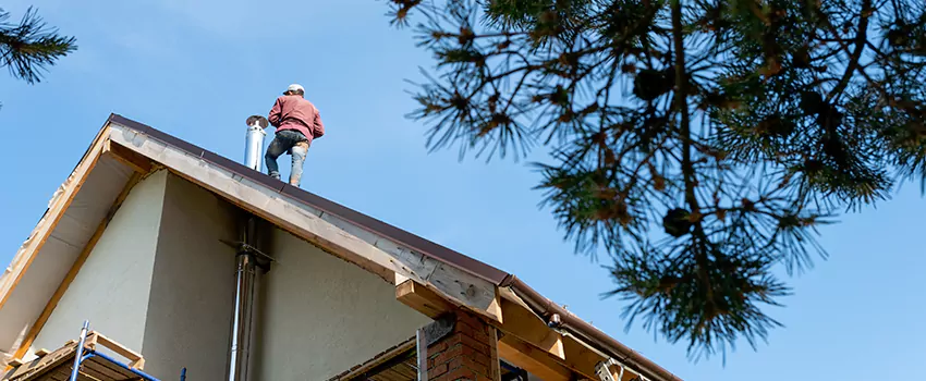 Birds Removal Contractors from Chimney in Mankato, MN