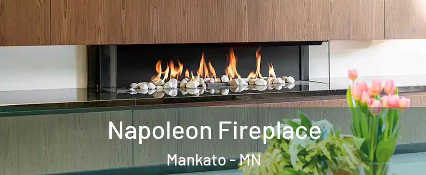  Napoleon Fireplace Mankato - MN