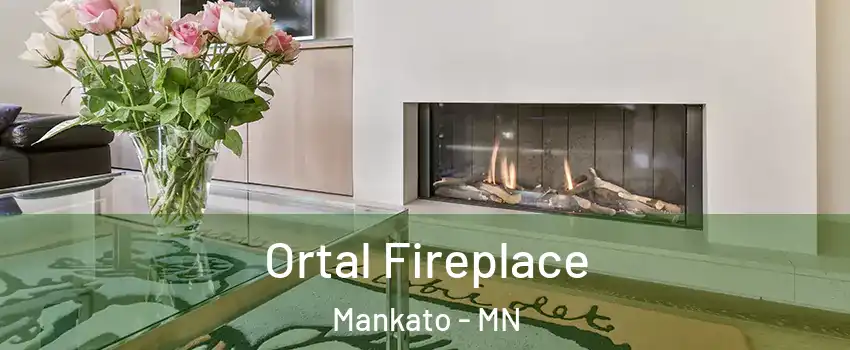 Ortal Fireplace Mankato - MN